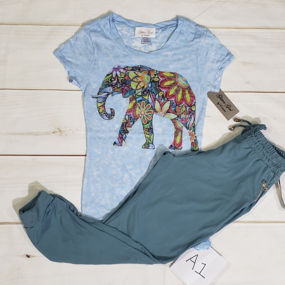 Short Sleeve T Shirt and Joggers